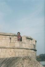(Diane in York)